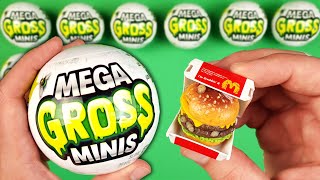 The Mega Gross Minis  Opening And Reviewing [upl. by Robinette553]