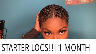 STARTER LOCS  ONE MONTH  COMB COILS  OH JUU [upl. by Nibbor528]