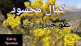 kamal masood song ghojery zyer gulina [upl. by Ydnolem]