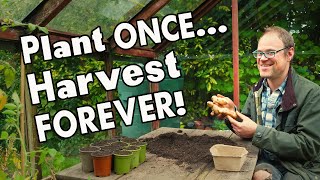 5 MustGrow Perennial Vegetables Harvest Year After Year 👩‍🌾 [upl. by Nnaes]