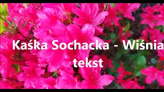 Kaśka Sochacka  Wiśnia  Tekst [upl. by Gnol480]