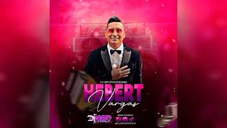 Voy a Amarte 15 EXITOS DE HEBERT VARGAS VallenatoMix [upl. by Millicent868]