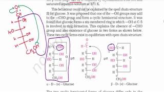 Biomolecules Part 2  Cyclic Structure of glucose  Anomers of Glucose  Class 12 NCERT [upl. by Petulah653]