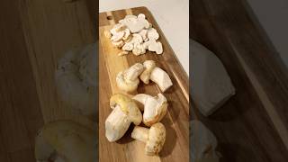 Cooking MatsutakePINE mushrooms 🍄‍🟫 mushroom matsutake pinemushroom [upl. by Antonella353]