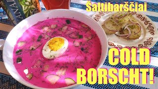 Cold Borscht  Lithuanian “pink soup”  Šaltibarščiai  Свекольник [upl. by Wallie63]