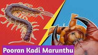 Pooran Kadi Marunthu  Pooran Insect  Tamil  ArunaMuthaiyan Pharmacologists [upl. by Adnahsar278]