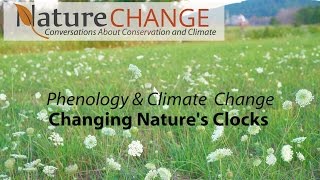 Phenology and Climate Change  Changing Natures Clocks [upl. by Nagud294]