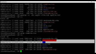 Linux Command 3 [upl. by Ardnoet]