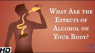 What Are The Effects Of Alcohol On Your Body [upl. by Rillis]