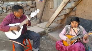 Bandurrias de Sicuani canchis hermoso como suena con  gregoria mamani y bandurrias del sur [upl. by Rossi895]