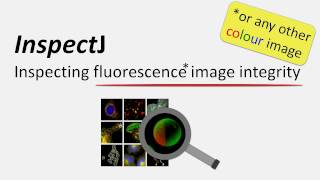 InspectJ  2  Inspecting fluorescence images with InspectJ [upl. by Benyamin622]