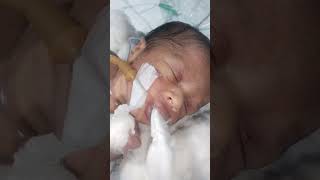 New born baby milk feeding 🍼🍼🍼 youtubeshorts trending shorts motivation viralvideo subscribe [upl. by Frymire]