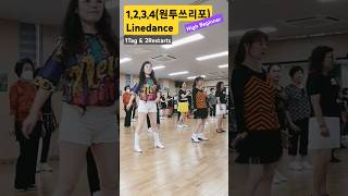 하남신장1동주민센터 Choreo Heejin KimKOR외2인 라인댄스 linedance beginner 초급라인댄스 가수 이하이 1234원투쓰리포라인댄스 [upl. by Adym]