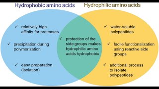 Hydropathy of Amino Acids amp Its Role in Protein Structure Hydrophilic and Hydrophobic Amino Acids [upl. by Nilkoorb]