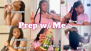 Prep w me for a protective style  wash day  moisturizing routine  blowout [upl. by Beaston3]