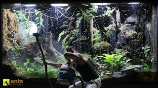 Flying Fire Ant Queens Broke Into My Giant Rainforest Vivarium [upl. by Delwin]