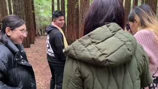 Redwood forest national park Melbourne Australia [upl. by Theona]