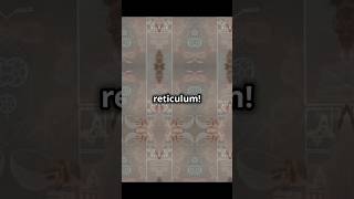 The Endiplasmic Reticulum RER vs SER Explained 🌟 [upl. by Zilla641]