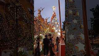 Christmas In Madridejos Cebu bantayanislandcebu bantayanisland edwardbargaintv travel [upl. by Liuka801]