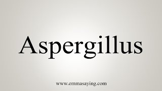 How To Say Aspergillus [upl. by Ardnohsal]