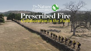 Prescribed Fire Collaboration in the Field [upl. by Ketchan]