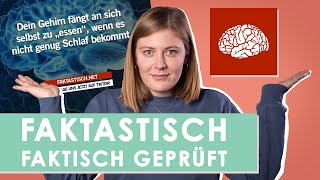 quotUnser Gehirn isst sich selbst bei zu wenig Schlafquot  psychologeek [upl. by Innus886]