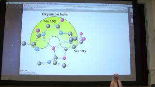 12 Kevin Aherns Biochemistry  Enzyme Mechanisms [upl. by Inavoj]