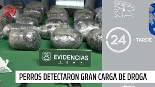 Perros antidrogas detectaron más de 90 kilos de droga  24 Horas TVN Chile [upl. by Etnud]