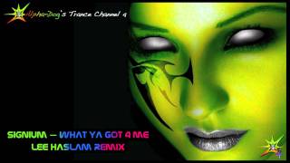 Signum  What Ya Got 4 Me Lee Halsam Remix ★ [upl. by Gile574]