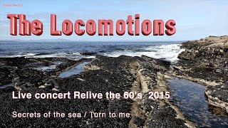 The Locomotions Secrets of the sea  Turn to me [upl. by Eehtomit]