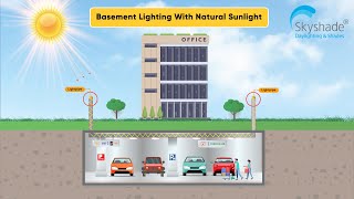 Basement Lighting with Natural Sunlight [upl. by Willock]