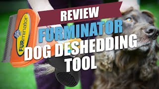 FURminator Dog Deshedding Tool Review 2018 [upl. by Sandry60]