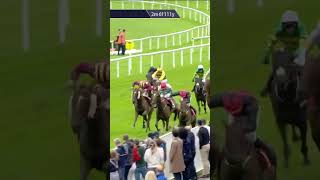 Pinkerton wins the Galway Plate 🏆 horse horseracing racingtv sport britishhorseracing [upl. by Nikkie]