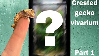 Bioactive crested gecko vivarium part 1 [upl. by Earahc405]