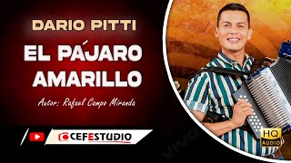 EL PÁJARO AMARILLO  DARIO PITTI EN VIVO [upl. by Eirrot]