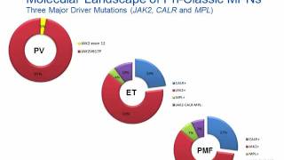 Myeloproliferative Neoplasm Hot Topic [upl. by Schnorr604]