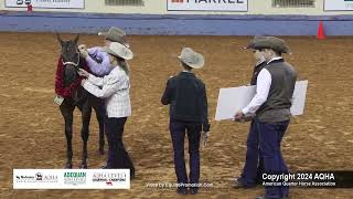 2024 AQHA Select Weanling Fillies World Champion [upl. by Seek]