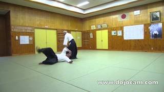 Tomio Ishimoto Sensei 3 [upl. by Braun248]