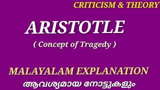 Aristotle Concept of Tragedy and Tragic heroCriticism amp Theory Literature Miss [upl. by Sachiko]