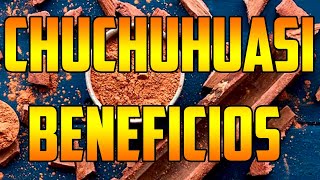 CHUCHUHUASI benefits Maytenus macrocarpa 🌿 ¿PARA QUE SIRVE  🌿Usos🌿 plants 🌿 nature CHUCHUHUASHA [upl. by Taam67]