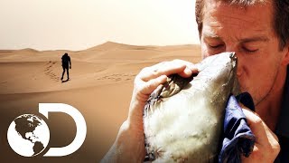 Técnicas para sobrevivir sin agua en el desierto  Escape del infierno con Bear Grylls [upl. by Egief762]