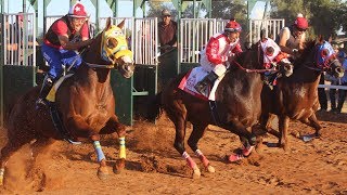 CARRERON DE PONYS A LOMOS LIBRES [upl. by Enois]