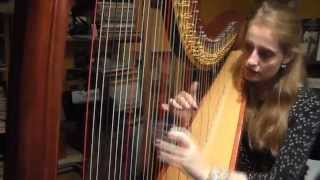 Cinderella Cendrillon  A Dream Is A Wish Your Heart Makes Tendre Rêve  Harp Cover [upl. by Mungo]