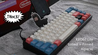 KBD67 Lite wLubed and Filmed Alpacas Sound Test [upl. by Bradstreet482]