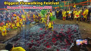 Bengaluru Biggest Firewalking Festival 2023  Shivajinagar Draupadi Amman Karaga  தீமிதி திருவிழா [upl. by Blunk]