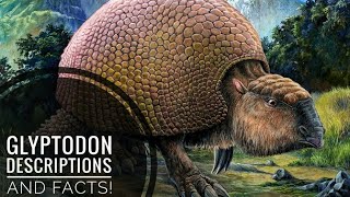 Glyptodon  Description and Facts [upl. by Aetnahc]