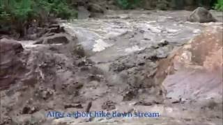 Historic Flash Flood in Zion National Park PEOPLE TRAPPED The Narrows [upl. by Notrub946]