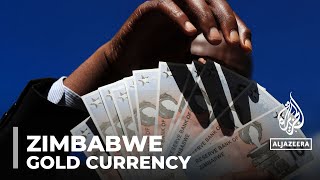 Zimbabwe’s new goldbacked currency New notes in circulation to counter inflation [upl. by Munmro]