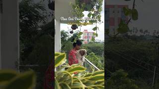 MiniVlog 74  Slow And Peaceful Morning In Amma Veedu sowbaraniyaramesh minivlog [upl. by Feola895]