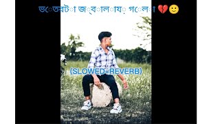 ভেতরটা জ্বালায় গেলা 💔🙂 Slowed amp Reverb Vetorta Jalay Gela  Samz vai  Bangla song Lofi 2024 l [upl. by Mosira]